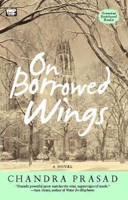 On Borrowed Wings - A Novel