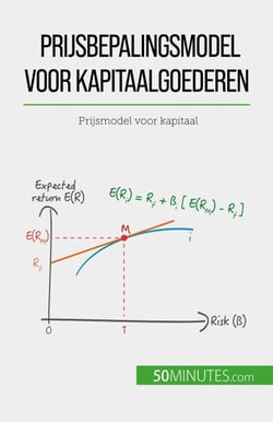 Prijsbepalingsmodel voor kapitaalgoederen - Prijsmodel voor kapitaal