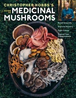 Christopher Hobbs's Medicinal Mushrooms: The Essential Guide - Boost Immunity, Improve Memory, Fight Cancer, Stop Infection, and Expand Your Consciousness