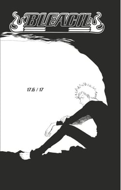 Bleach - T03 - Chapitre 17 - 6/17