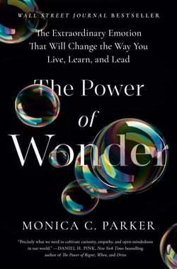 The Power of Wonder - The Extraordinary Emotion That Will Change the Way You Live, Learn, and Lead