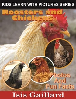 Roosters and Chickens Photos and Fun Facts for Kids - Kids Learn With Pictures, #120