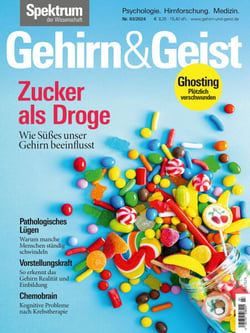 Gehirn&amp;Geist 3/2024 Zucker als Droge - Wie Süßes unser Gehirn beeinflusst