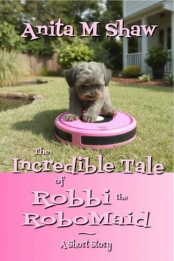 The Incredible Tale of Robbi the RoboMaid