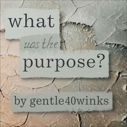 What was the Purpose?