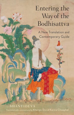 Entering the Way of the Bodhisattva - A New Translation and Contemporary Guide