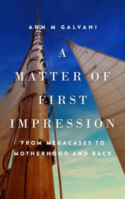 A Matter of First Impression: From Megacases to Motherhood and Back - Uncharted Waters