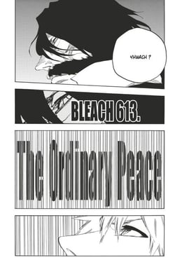 Bleach - T68 - Chapitre 613 - THE ORDINARY PEACE