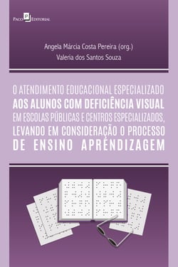 O atendimento educacional especializado aos alunos com deficiência visual em escolas públicas e centros especializados - O processo de ensino aprendizagem