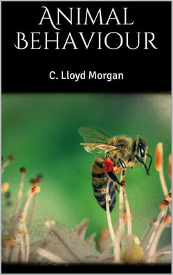 Animal Behaviour