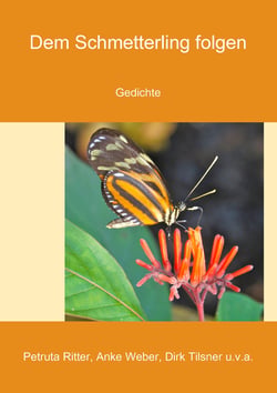 Dem Schmetterling folgen - Gedichte