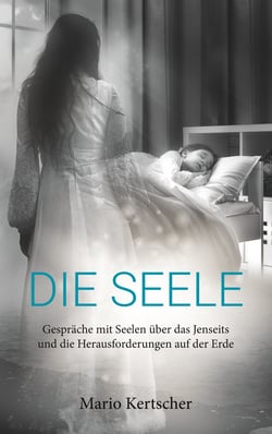 Die Seele - Gespräche mit Seelen über das Jenseits und die Herausforderungen auf der Erde