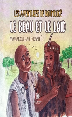 Les aventures de Noumoukè - Le beau et le laid