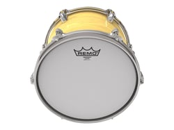 Remo - Peau Tom 16" - Emperor sablée