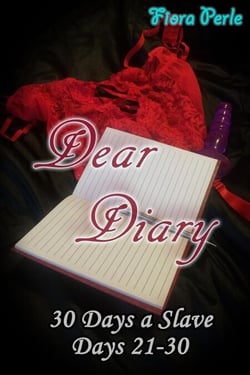 Dear Diary - Thirty Days A Slave (Days 21-30) - Dear Diary: Thirty Days A Slave, #3