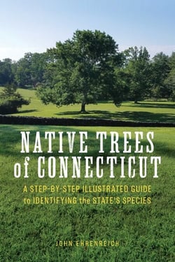 Native Trees of Connecticut - A Step-by-Step Illustrated Guide to Identifying the State's Species