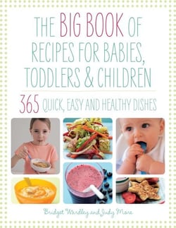 Big Book of Recipes for Babies, Toddlers &amp; Children