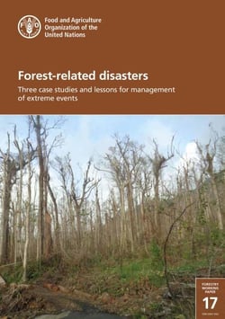 Forest-Related Disasters – Three Case Studies and Lessons for Management of Extreme Events