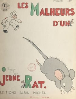 Les malheurs d'un jeune rat