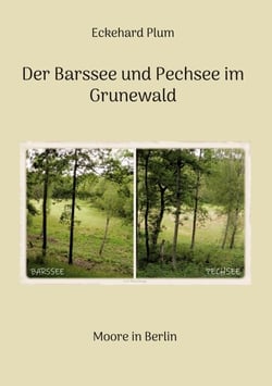 Der Barssee und Pechsee im Grunewald - Moore in Berlin