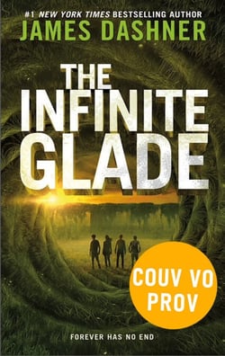 Le Labyrinthe - Le rivage des survivants - Tome 03