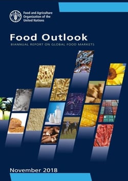 Food Outlook - Biannual Report on Global Food Markets: November 2018