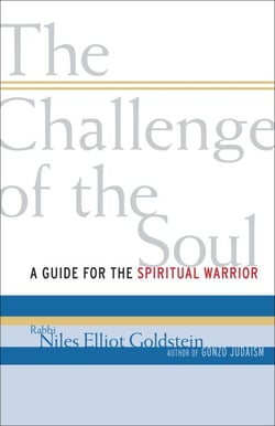 The Challenge of the Soul - A Guide for the Spiritual Warrior
