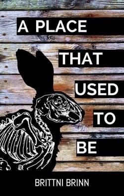 A Place That Used to Be - The Patch Project, #2