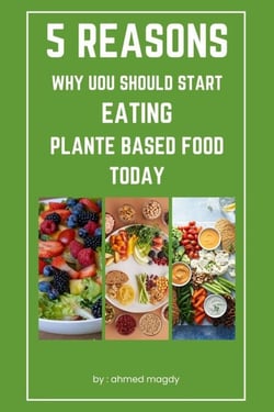 5 Reasons Why You Should Start Eating Plant Based Foods Today - healthy