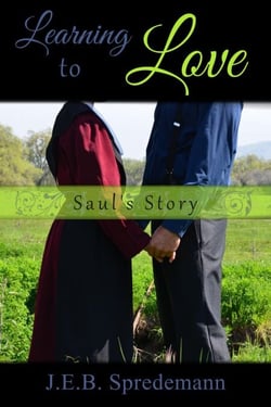 Learning to Love - Saul's Story - Amish Girls, #9