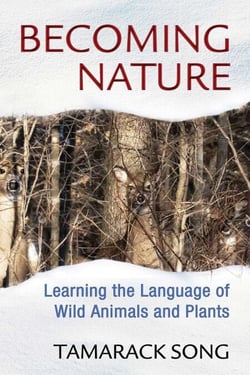 Becoming Nature - Learning the Language of Wild Animals and Plants