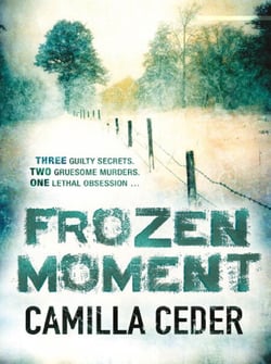 Frozen Moment - 'A good psychological crime novel that will appeal to fans of Wallander and Stieg Larsson' CHOICE