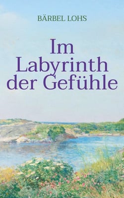 Im Labyrinth der Gefühle - Ein Entwicklungsroman über Liebe, Verlust  und   Neubeginn