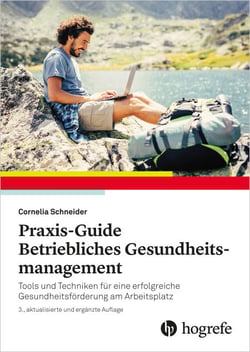 Praxis–Guide Betriebliches Gesundheitsmanagement - Tools und Techniken für eine erfolgreiche Gesundheitsförderung am Arbeitsplatz