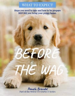 Before the Wag - What To Expect, #1