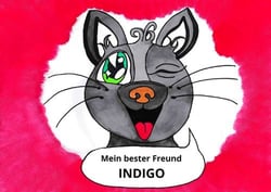 Mein bester Freund Indigo