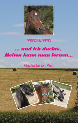 und ich dachte, Reiten kann man lernen - Geschichten vom Pferd