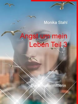Angst um mein Leben Teil 3 - Die Privatermittlerin