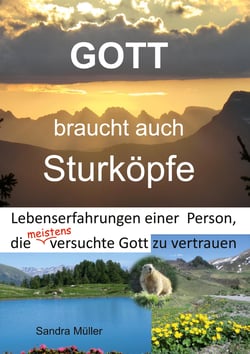 Gott braucht auch Sturköpfe - Lebenserfahrungen einer Person, die meistens versuchte Gott zu vertrauen