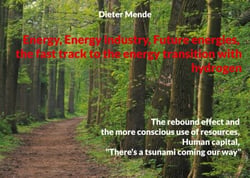 Energy Energy industry Future energies, the fast track to the energy transition with hydrogen - The rebound effect and the more conscious use of resources, Human capital, There's a tsunami coming our way
