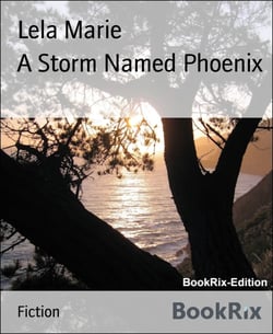 A Storm Named Phoenix