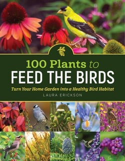 100 Plants to Feed the Birds - Turn Your Home Garden into a Healthy Bird Habitat