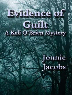 Evidence of Guilt - Kali O'Brien legal suspense, #2