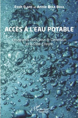 Accès à l'eau potable - Les grands défis pour le Cameroun et la Côte d'Ivoire