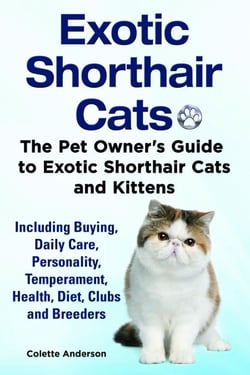 Exotic Shorthair Cats The Pet Owner’s Guide to Exotic Shorthair Cats and Kittens Including Buying, Daily Care, Personality, Temperament, Health, Diet, Clubs and Breeders