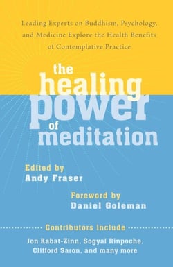 The Healing Power of Meditation - Leading Experts on Buddhism, Psychology, and Medicine Explore the Health Benefits of Contemplative Practice