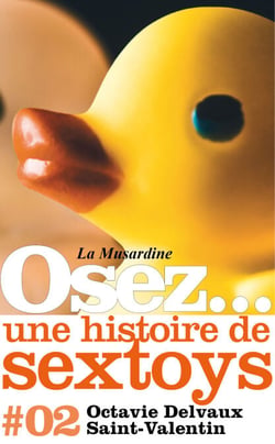 Osez une histoire de sextoys : Saint-Valentin
