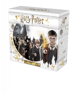 Harry Potter une année à Poudlard - Topi Games
