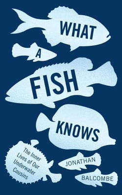 What a Fish Knows - The Inner Lives of Our Underwater Cousins