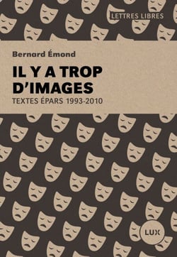 Il y a trop d'images - Textes épars: 1993-2010
